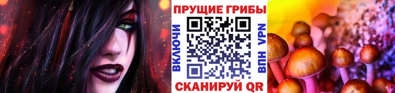 Галлюциногенные грибы MAGIC MUSHROOMS  Алагир 
